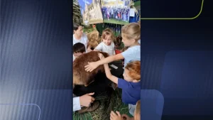 Sequência 01.00 07 18 02.quadro005