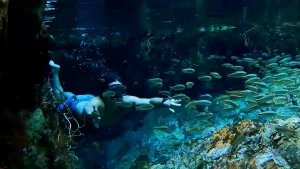 Sequência 01.00 09 01 03.quadro002