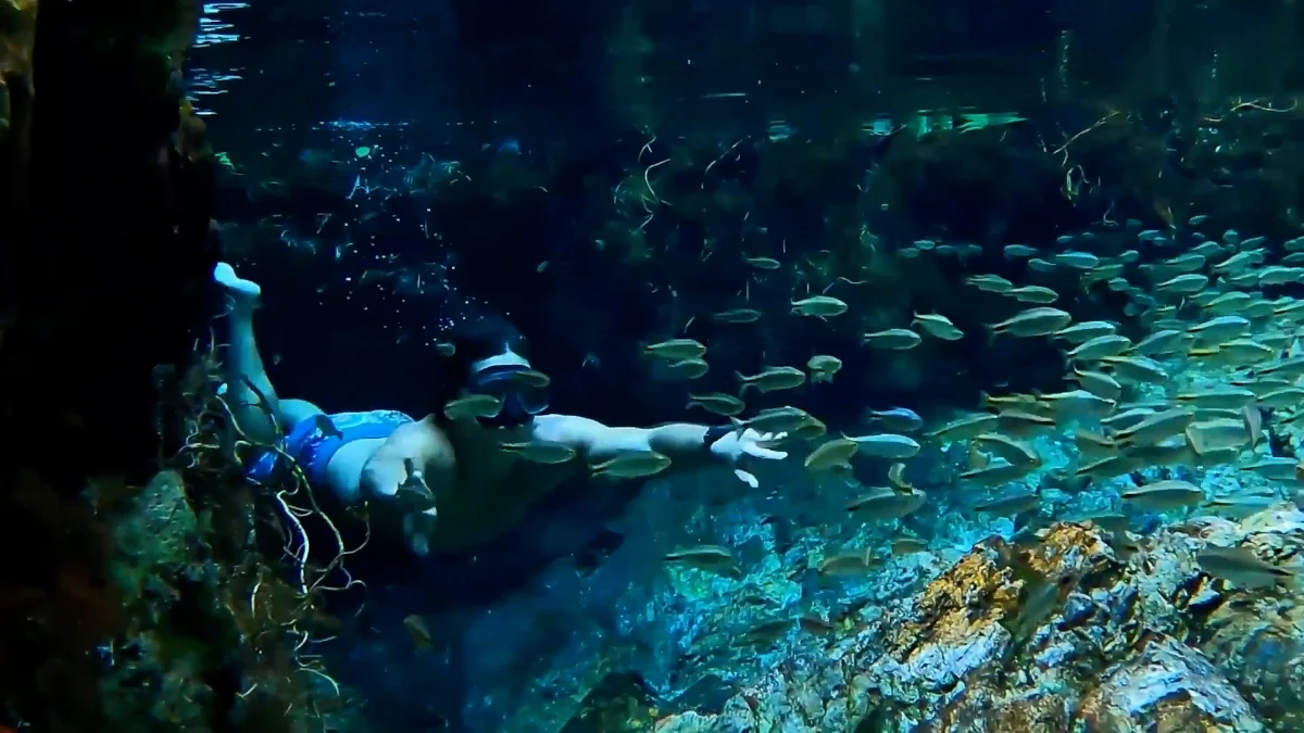 Sequência 01.00 09 01 03.quadro002