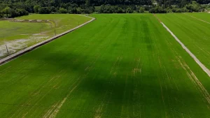 Sequência 01.00 10 05 17.quadro002