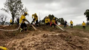 Sequência 01.00 10 46 22.quadro003