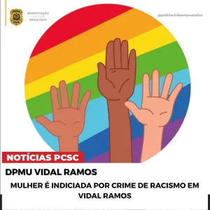 Mulher é indiciada por crime de racismo em Vidal Ramos