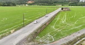 Rua Pedro Avelino, na Barra do Trombudo, será recapeada