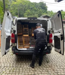 Mais de 200 aves são resgatadas e grupo é preso por comércio ilegal de animais em SC