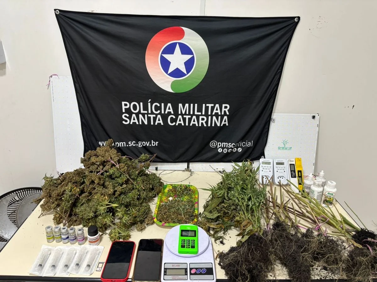 Tio e sobrinho são presos por tráfico de drogas em Blumenau; PM apreende 15 pés de maconha