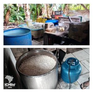 Flonaibirama 3743370474899606843