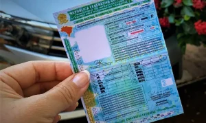 CNH sem autoescola: Ministério dos Transportes divulga regras para ser instrutor autônomo