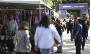 Desemprego no trimestre cai para menor taxa da série histórica