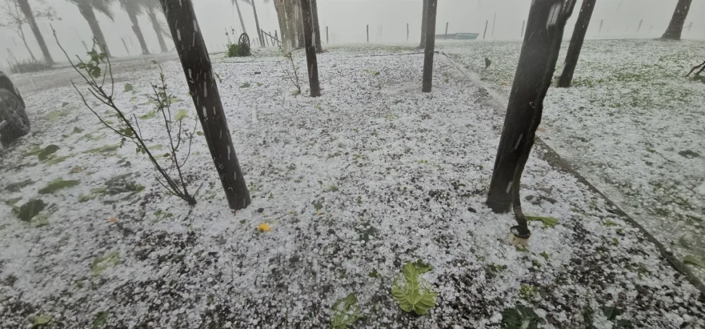 591432514 2595322137494269 5473476402020850285 N