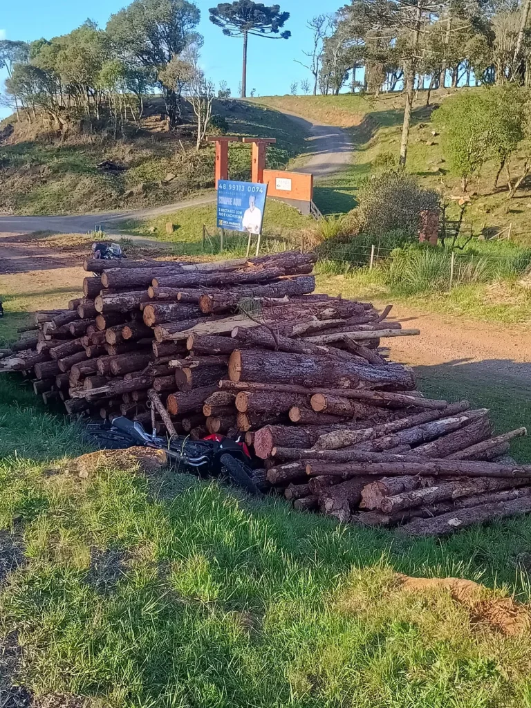 Motociclista De 60 Anos Morre Após Saída De Pista Na Sc 110, Na Serra Catarinense (1)