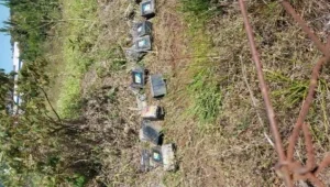 Relatório Copom Rsl 11 De Novembro De 2025 (1) Page 0002zzz