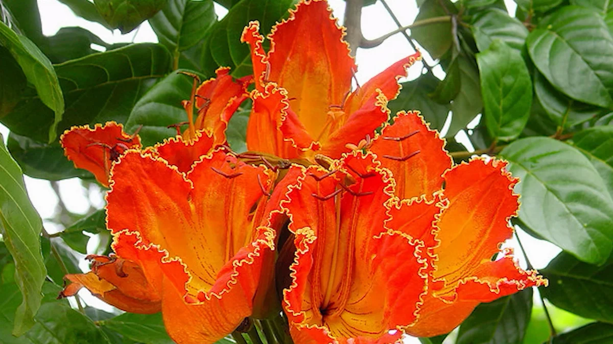 Sequência 01.00 57 56 09.quadro073