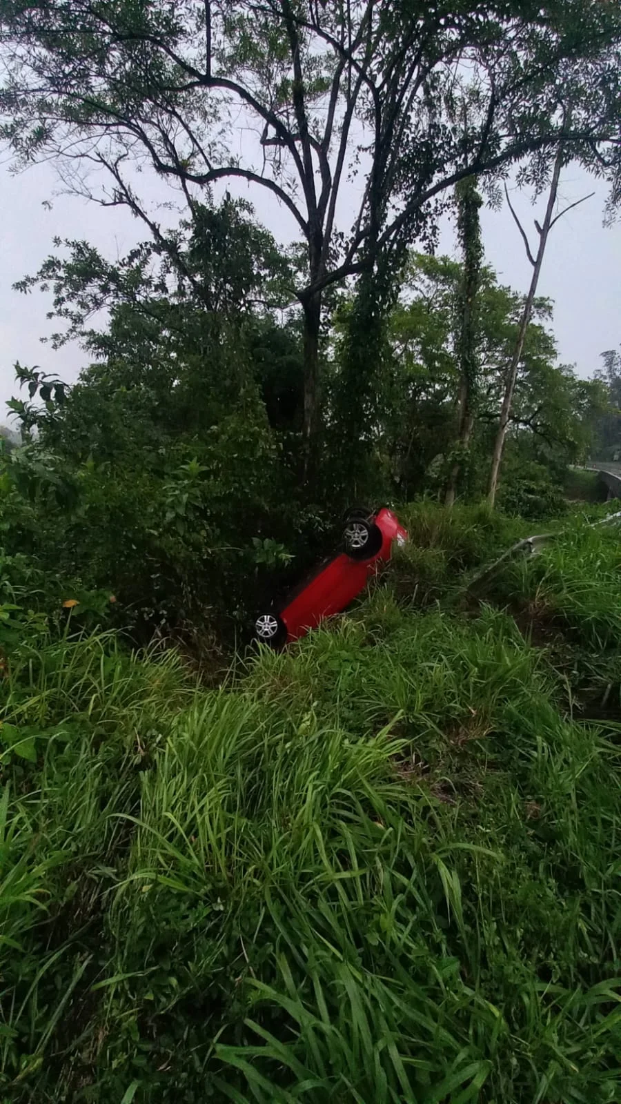 Veículo sai da pista e capota na margem da BR-470 em Rodeio