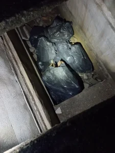 Homem é preso com crânio humano dentro de mochila em SC