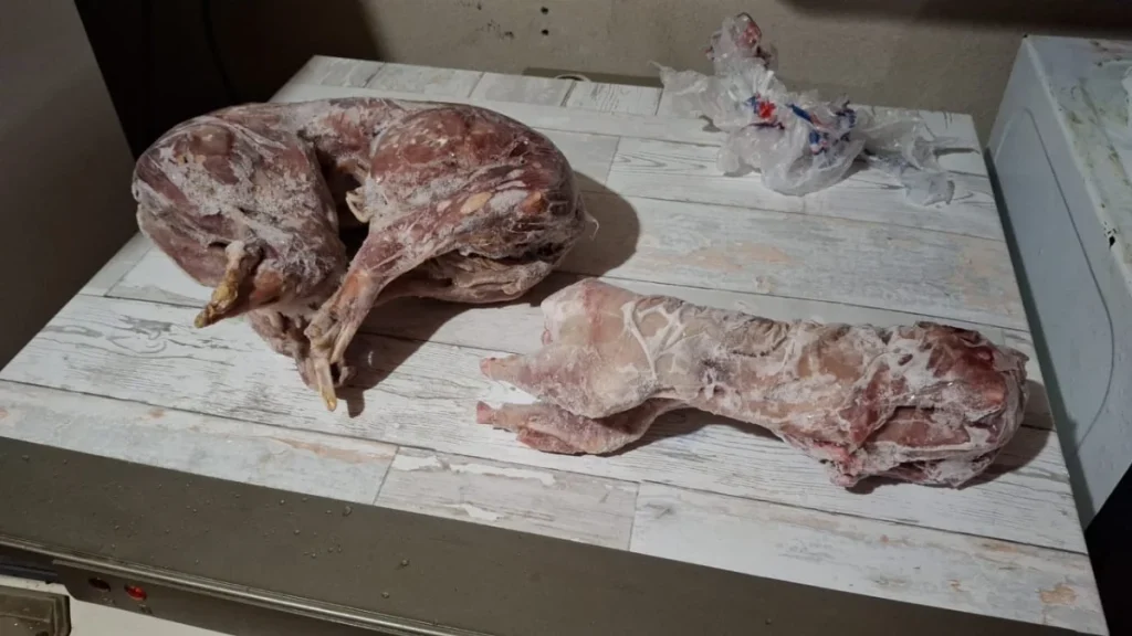 Whatsapp Image 2025 11 05 At 07.02.24