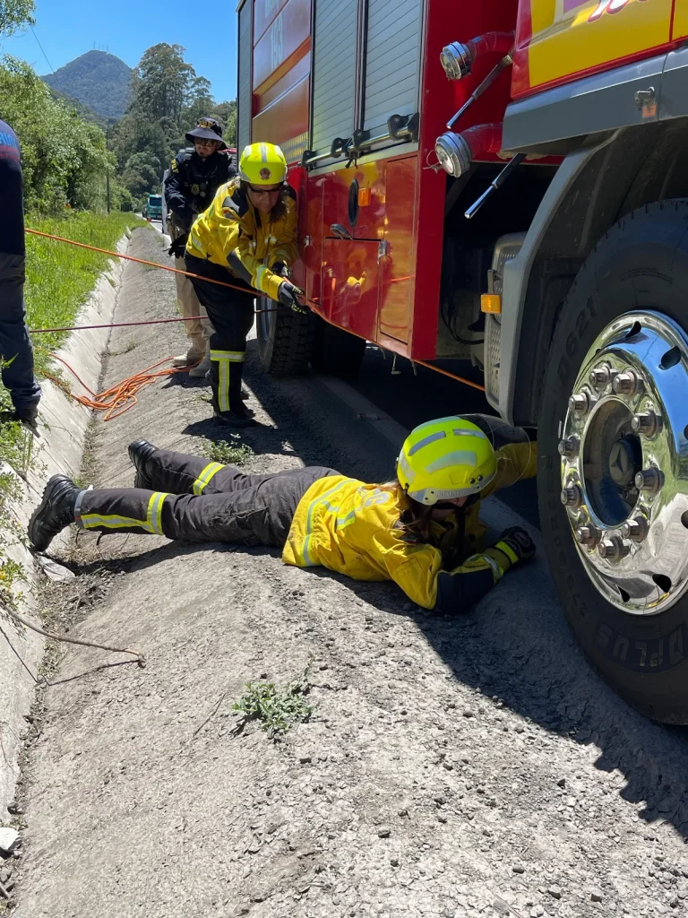 Whatsapp Image 2025 11 11 At 16.12.00