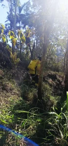 Whatsapp Image 2025 11 11 At 17.25.01