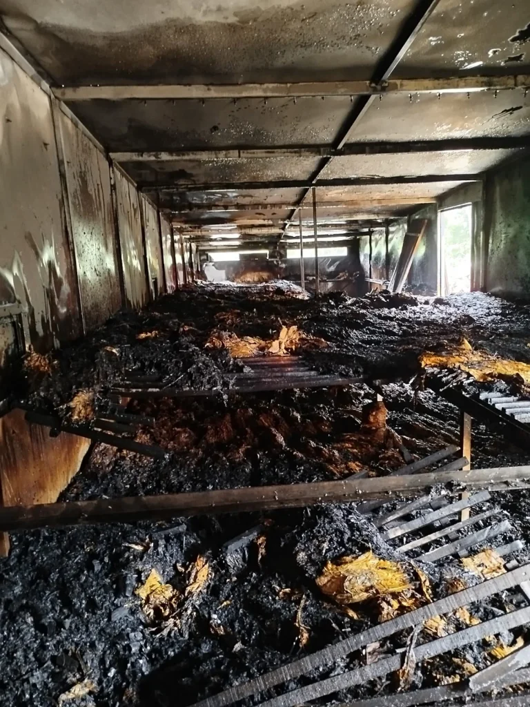 Whatsapp Image 2025 11 16 At 16.27.30