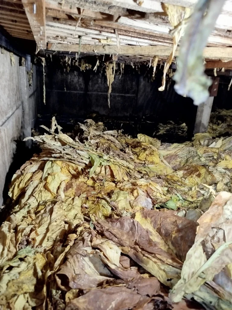 Whatsapp Image 2025 11 16 At 16.44.37