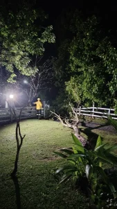 🌳 Árvore de 9 metros cai durante ventania e mobiliza bombeiros em Ituporanga