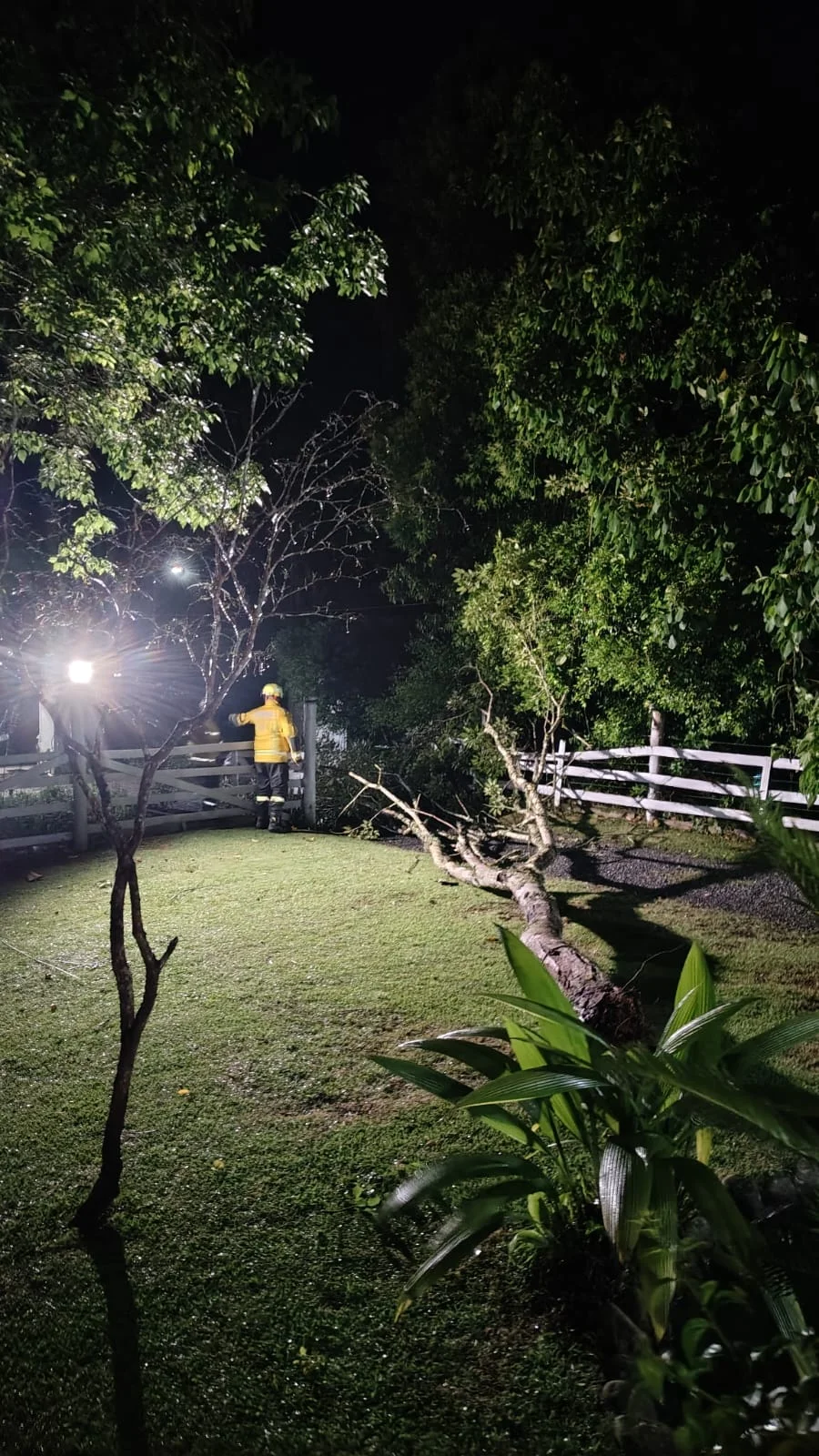 Whatsapp Image 2025 11 17 At 08.07.28