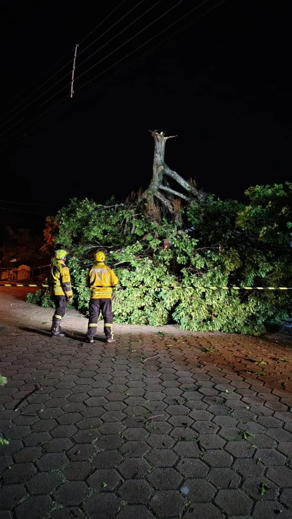 Whatsapp Image 2025 11 17 At 08.34.25 (1)