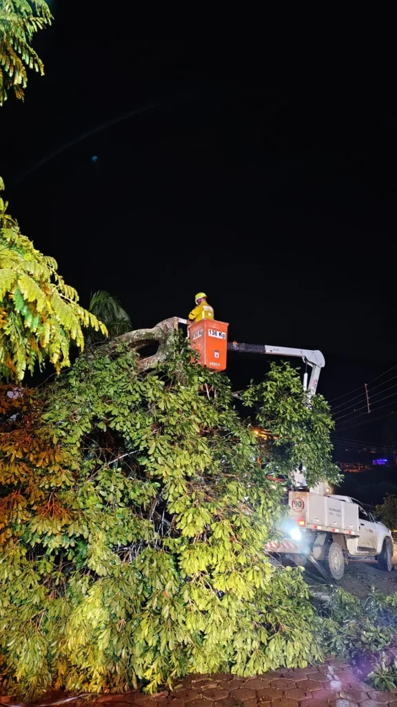 Whatsapp Image 2025 11 17 At 08.34.25