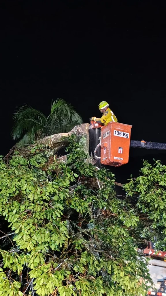 Whatsapp Image 2025 11 17 At 08.34.26