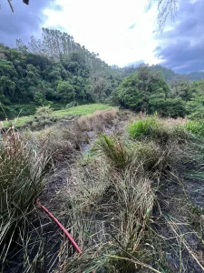 Incêndio florestal mobiliza bombeiros em Presidente Getúlio