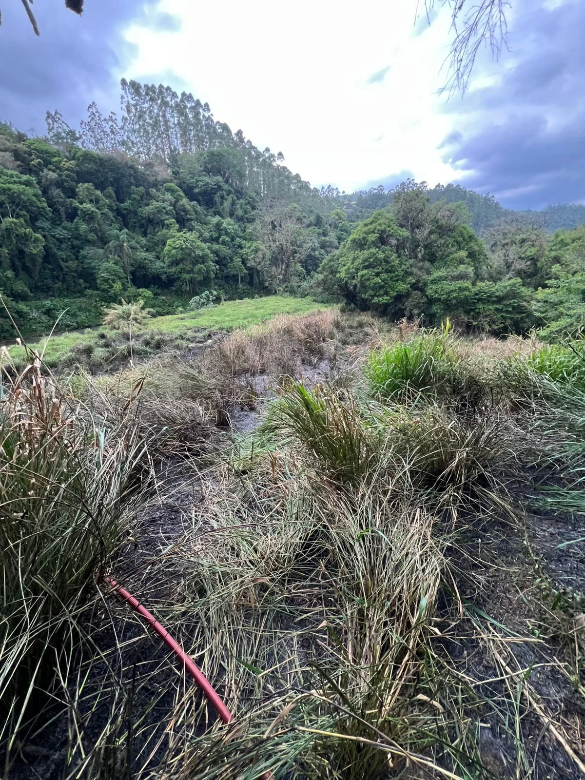 Whatsapp Image 2025 11 24 At 06.16.56