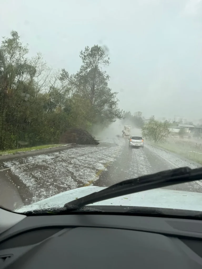 Whatsapp Image 2025 11 28 At 15.57.29 (1)