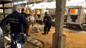 PF incinera mais de uma tonelada de drogas em Santa Catarina