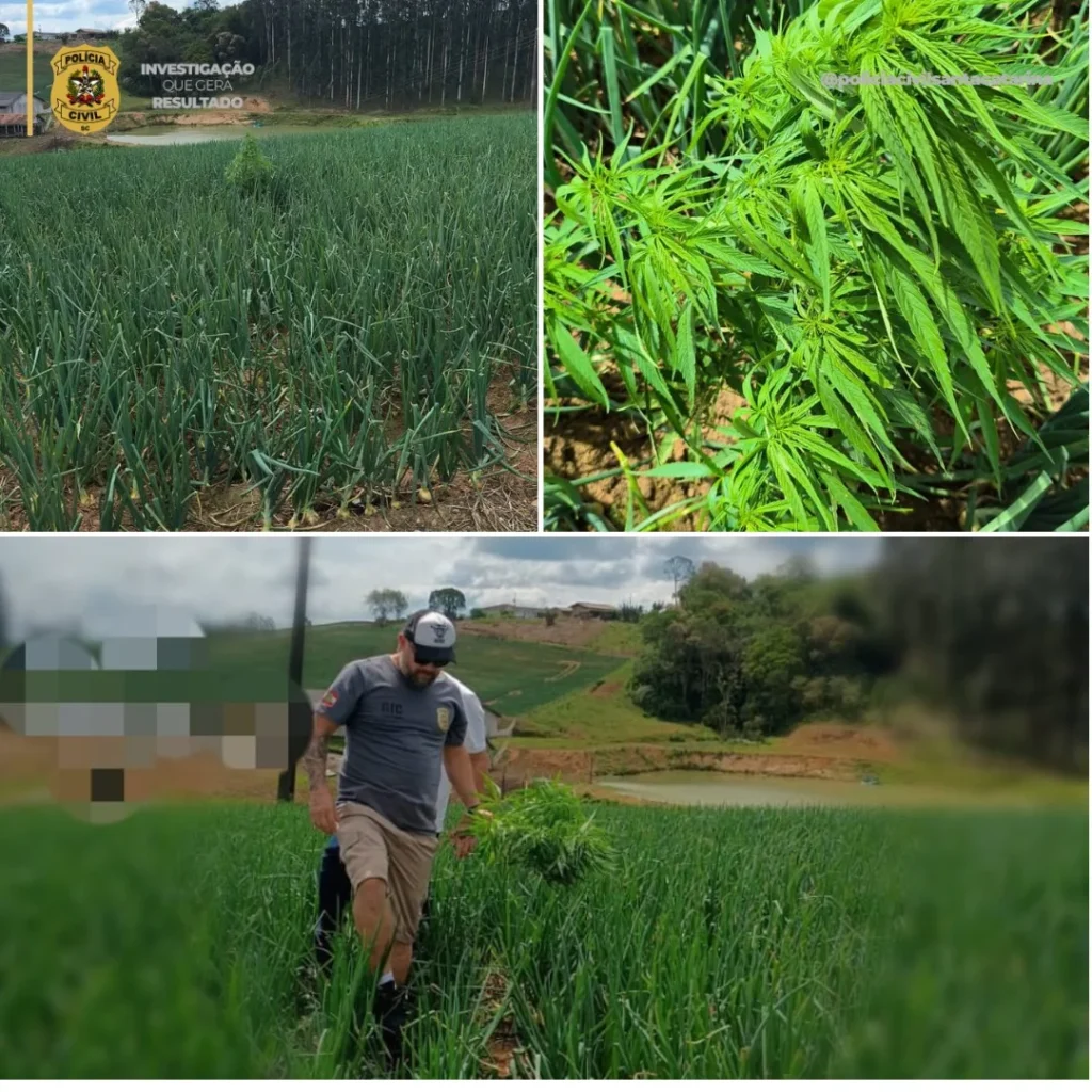 C0ef515c F804 4e6f Afed E91d0085f193