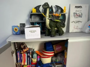 Polícia Civil cumpre mandado de busca e apreensão em consultório de mulher que se passava por psicóloga em Blumenau