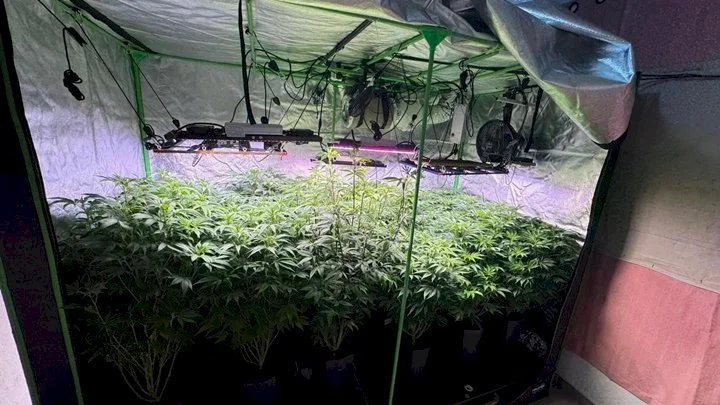 Whatsapp Image 2025 11 26 At 103414