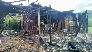 Galpão agrícola é destruído por incêndio em Trombudo Central