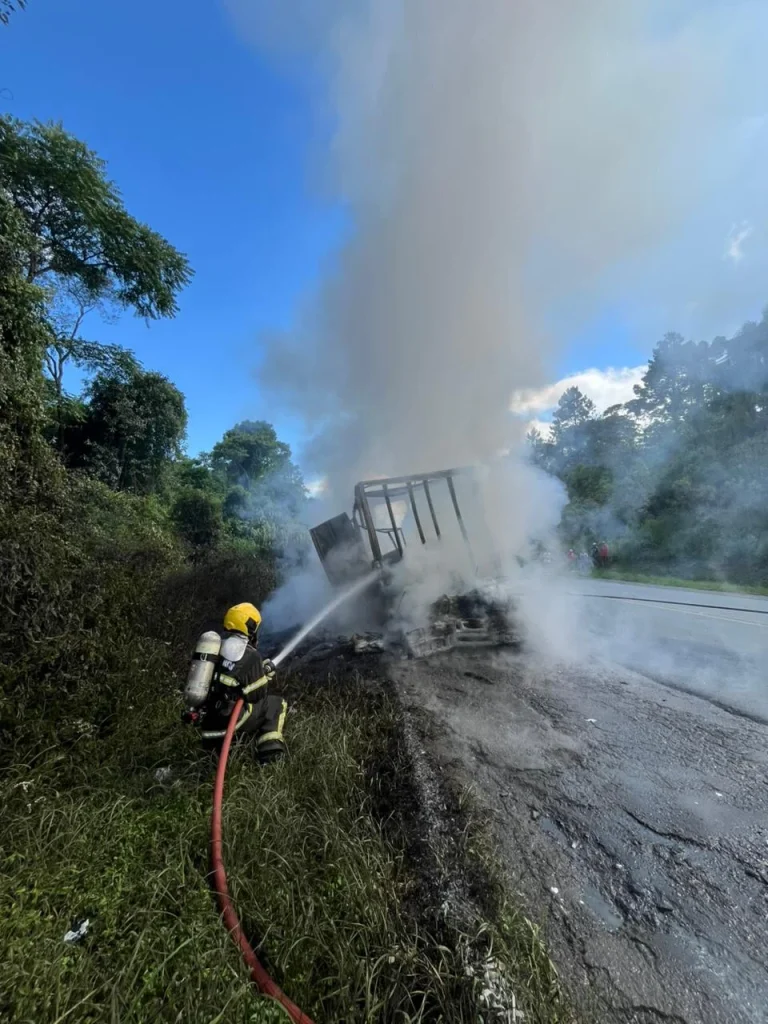 6724e590 7dd0 4733 Ae68 F909953dd624