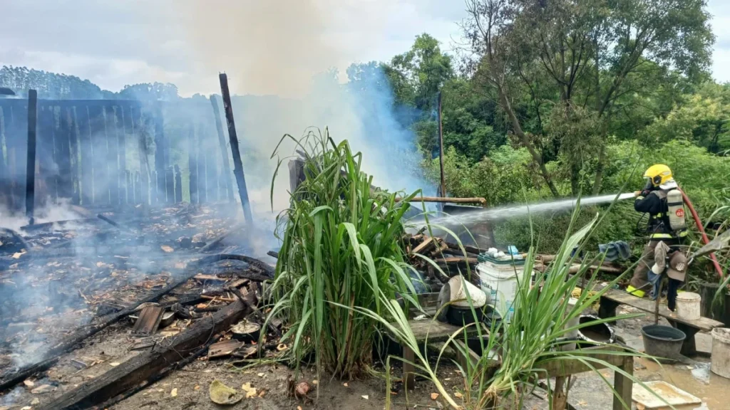 6bc11e6f 7d89 478f 9145 617c4582cc8c