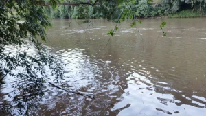 Dois afogamentos em rios de SC deixam adolescente e homem mortos no fim de semana