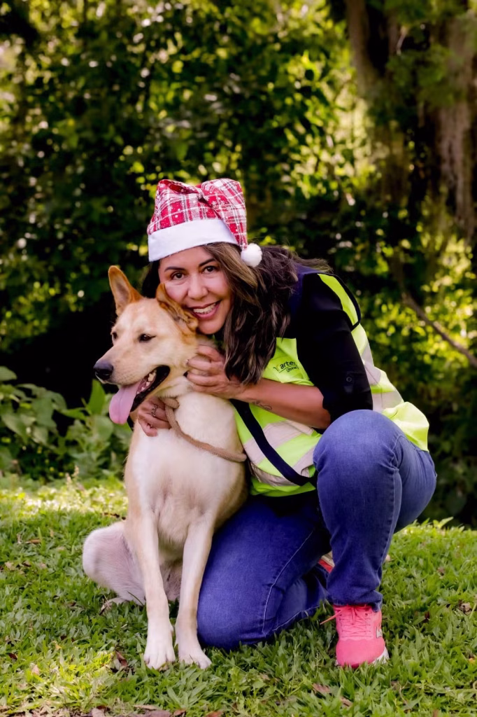 Adote Um Cãozinho Cães Resgatados Em Rodovias De Sc Participam De Ensaio Natalino (1)