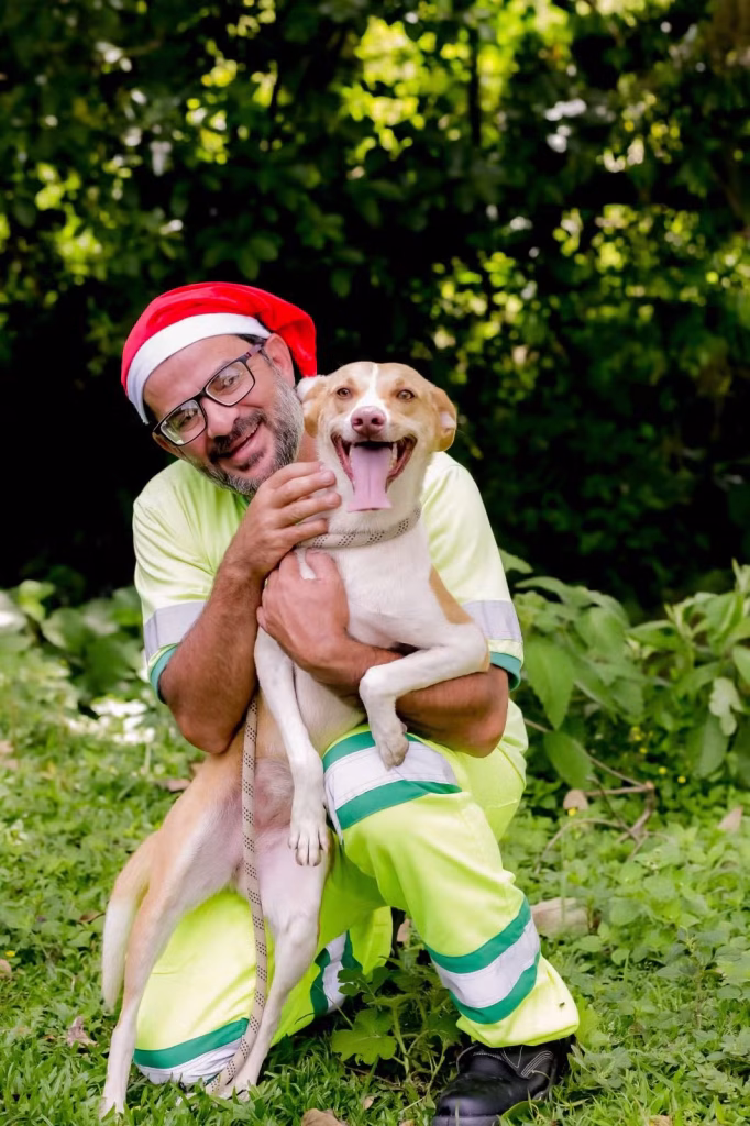 Adote Um Cãozinho Cães Resgatados Em Rodovias De Sc Participam De Ensaio Natalino (5)