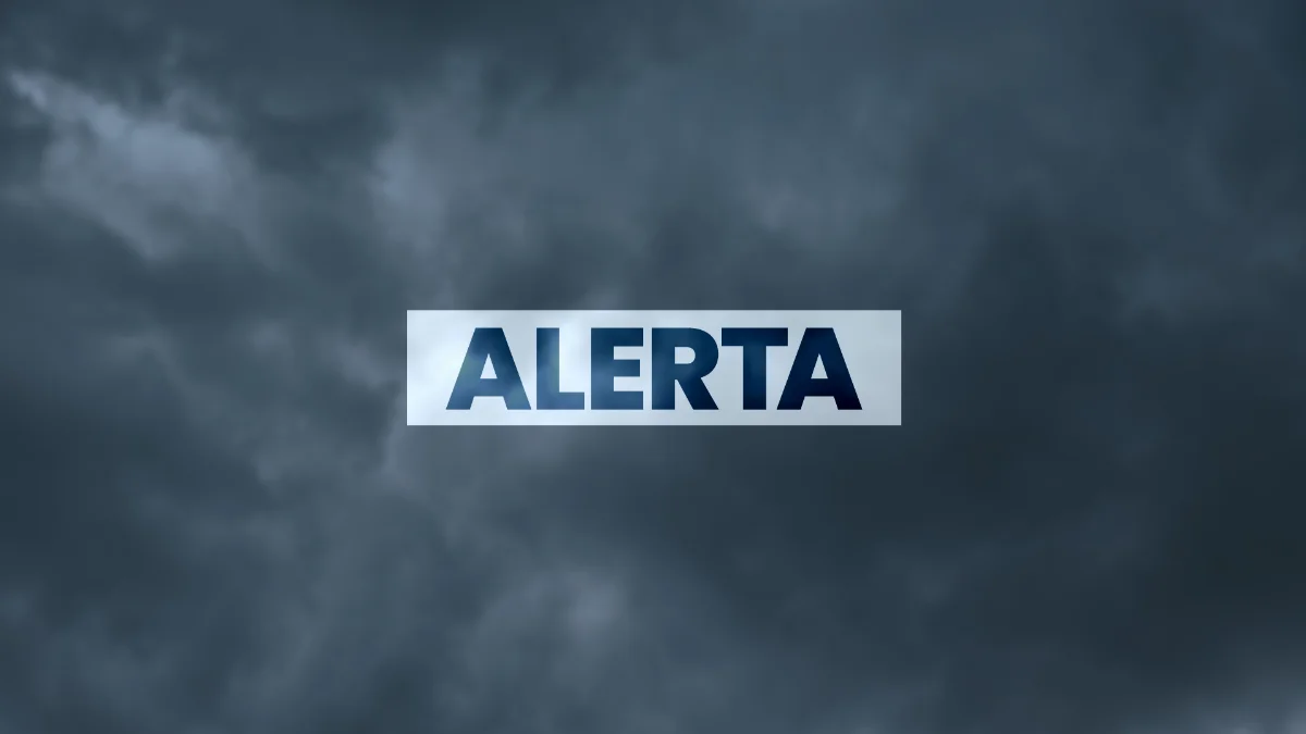 Alerta