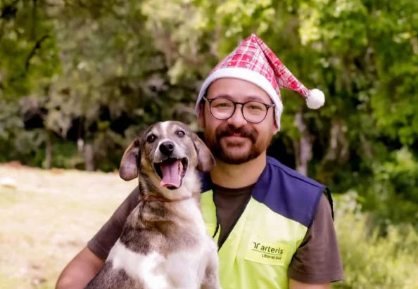 Adote um cãozinho cães resgatados em rodovias de SC participam de ensaio natalino