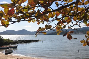 Primavera termina com calor e sol em Santa Catarina