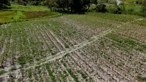 Jr 0210 B7.00 05 23 11.quadro039