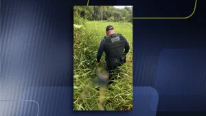 Jr 0210 B7.00 05 49 19.quadro059