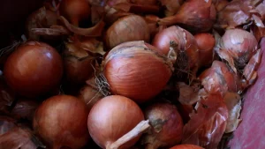 Jr 0210 B7.00 06 40 19.quadro036