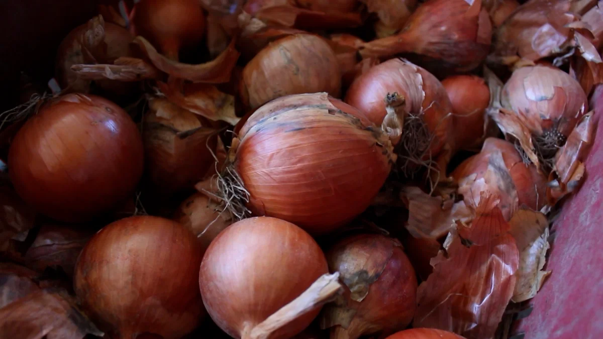 Jr 0210 B7.00 06 40 19.quadro036