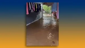 Previsao09