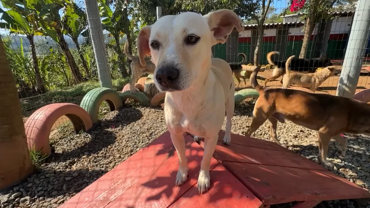 Programa ReabilitacÃo 03